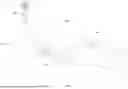 Fig. 02 - NOVEL POLYP TRAP