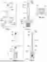 Fig. 09 - BONE FRACTURE REPAIR KIT, COMPONENTS, AND METHODS OF USE OF SAME