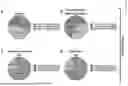 Fig. 02 - MATERIALS AND METHODS TO TREAT EPSTEIN-BARR VIRUS (EBV) AND EBV-INDUCED DISEASES