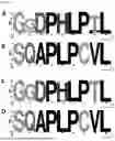 Fig. 04 - MATERIALS AND METHODS TO TREAT EPSTEIN-BARR VIRUS (EBV) AND EBV-INDUCED DISEASES
