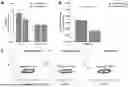 Fig. 09 - MATERIALS AND METHODS TO TREAT EPSTEIN-BARR VIRUS (EBV) AND EBV-INDUCED DISEASES