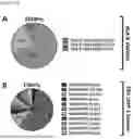 Fig. 16 - MATERIALS AND METHODS TO TREAT EPSTEIN-BARR VIRUS (EBV) AND EBV-INDUCED DISEASES