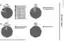 Fig. 19 - MATERIALS AND METHODS TO TREAT EPSTEIN-BARR VIRUS (EBV) AND EBV-INDUCED DISEASES
