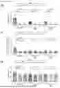 Fig. 44 - MATERIALS AND METHODS TO TREAT EPSTEIN-BARR VIRUS (EBV) AND EBV-INDUCED DISEASES