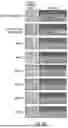Fig. 06 - METHOD OF REDUCING CST FLUCTUATION IN NEOVASCULAR AMD BY A RECOMBINANT ADENO-ASSOCIATED VIRUS