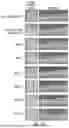 Fig. 08 - METHOD OF REDUCING CST FLUCTUATION IN NEOVASCULAR AMD BY A RECOMBINANT ADENO-ASSOCIATED VIRUS