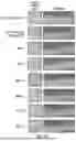 Fig. 10 - METHOD OF REDUCING CST FLUCTUATION IN NEOVASCULAR AMD BY A RECOMBINANT ADENO-ASSOCIATED VIRUS