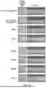 Fig. 16 - METHOD OF REDUCING CST FLUCTUATION IN NEOVASCULAR AMD BY A RECOMBINANT ADENO-ASSOCIATED VIRUS
