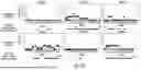 Fig. 32 - METHOD OF REDUCING CST FLUCTUATION IN NEOVASCULAR AMD BY A RECOMBINANT ADENO-ASSOCIATED VIRUS