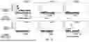 Fig. 33 - METHOD OF REDUCING CST FLUCTUATION IN NEOVASCULAR AMD BY A RECOMBINANT ADENO-ASSOCIATED VIRUS