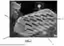 Fig. 02 - GAS-FILLED STRUCTURES AND RELATED COMPOSITIONS, METHODS AND SYSTEMS TO IMAGE A TARGET SITE