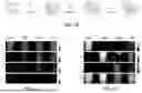 Fig. 07 - GAS-FILLED STRUCTURES AND RELATED COMPOSITIONS, METHODS AND SYSTEMS TO IMAGE A TARGET SITE
