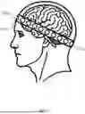 Fig. 02 - WEARABLE NEURAL STIMULATION AND SENSING DEVICE