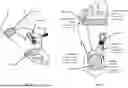 Fig. 06 - METHOD AND APPARATUS FOR TRANSDERMAL STIMULATION TO TREAT OVERACTIVE BLADDER AND OTHER MEDICAL AILMENTS