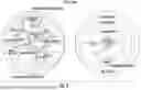 Fig. 05 - OCULAR PHOTO-BIO-STIMULATION