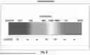 Fig. 07 - OCULAR PHOTO-BIO-STIMULATION