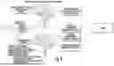 Fig. 10 - OCULAR PHOTO-BIO-STIMULATION