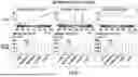 Fig. 110 - OCULAR PHOTO-BIO-STIMULATION
