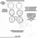 Fig. 28 - OCULAR PHOTO-BIO-STIMULATION