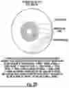 Fig. 41 - OCULAR PHOTO-BIO-STIMULATION