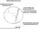 Fig. 45 - OCULAR PHOTO-BIO-STIMULATION