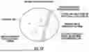Fig. 48 - OCULAR PHOTO-BIO-STIMULATION