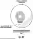 Fig. 52 - OCULAR PHOTO-BIO-STIMULATION