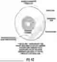 Fig. 53 - OCULAR PHOTO-BIO-STIMULATION