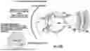 Fig. 67 - OCULAR PHOTO-BIO-STIMULATION
