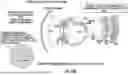 Fig. 68 - OCULAR PHOTO-BIO-STIMULATION