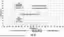 Fig. 90 - OCULAR PHOTO-BIO-STIMULATION
