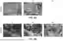 Fig. 06 - FLUID FILTRATION MEMBRANES
