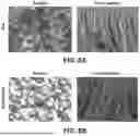 Fig. 09 - FLUID FILTRATION MEMBRANES