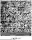 Fig. 09 - GYPSUM CEMENT WITH REDUCED PERMEABILITY