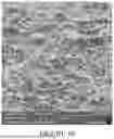 Fig. 10 - GYPSUM CEMENT WITH REDUCED PERMEABILITY