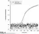 Fig. 07 - ADVANCED POLYMER IMPREGNATION AND PYROLYSIS OF CERAMIC MATRIX COMPOSITES