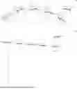 Fig. 03 - Paenibacillus Isolates and Uses Thereof