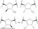 Fig. 22 - MODULATORS OF 5'-NUCLEOTIDASE, ECTO AND THE USE THEREOF