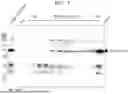 Fig. 08 - RECOMBINANT PROTEIN COMPRISING PROTEIN DERIVED FROM FOOT-AND-MOUTH DISEASE VIRUS TYPE O CAPSID PROTEIN AND SFC PROTEIN AND USE THEREOF