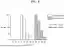 Fig. 09 - RECOMBINANT PROTEIN COMPRISING PROTEIN DERIVED FROM FOOT-AND-MOUTH DISEASE VIRUS TYPE O CAPSID PROTEIN AND SFC PROTEIN AND USE THEREOF