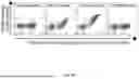 Fig. 07 - Mesothelin-Binding Engineered Fibronectin Type III Protein Scaffold