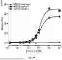 Fig. 09 - Mesothelin-Binding Engineered Fibronectin Type III Protein Scaffold