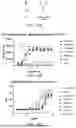 Fig. 24 - ANTIBODIES TARGETING CD3 AND USES THEREOF