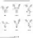 Fig. 25 - ANTIBODIES TARGETING CD3 AND USES THEREOF