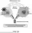 Fig. 29 - ANTIBODIES TARGETING CD3 AND USES THEREOF