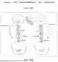 Fig. 41 - ANTIBODIES TARGETING CD3 AND USES THEREOF