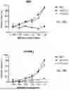 Fig. 44 - ANTIBODIES TARGETING CD3 AND USES THEREOF