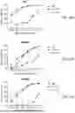 Fig. 46 - ANTIBODIES TARGETING CD3 AND USES THEREOF