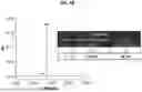 Fig. 07 - ANTI-PD-1 ANTIBODIES AND METHODS OF USE