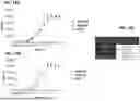 Fig. 22 - ANTI-PD-1 ANTIBODIES AND METHODS OF USE